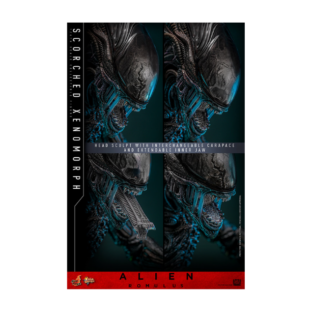 Hot Toys: Scorched Xenomorph Sixth Scale Figure