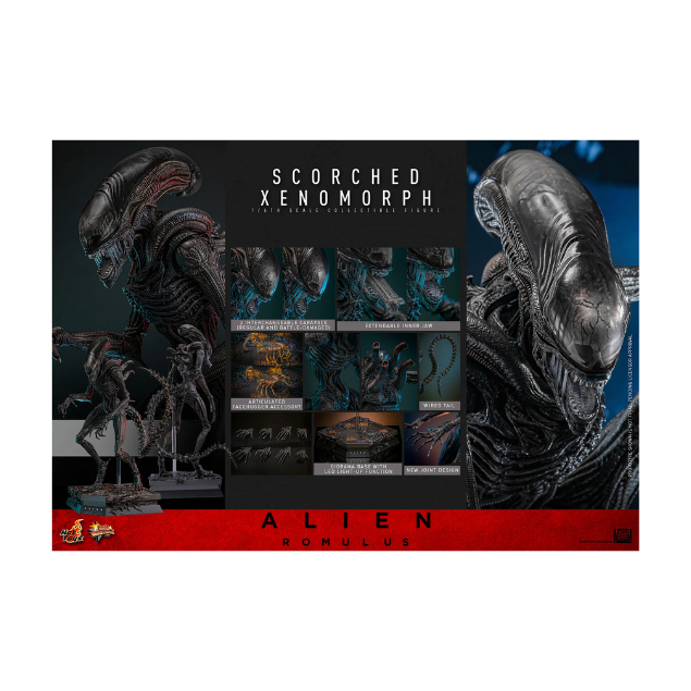Hot Toys: Scorched Xenomorph Sixth Scale Figure